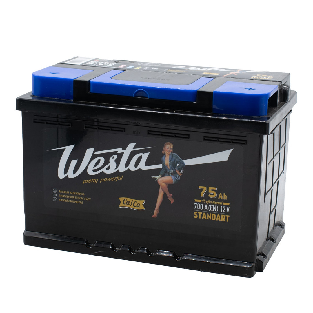 WESTA Black 75ач евро 700А 275х175х190