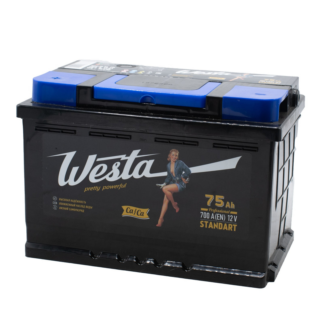 WESTA Black 75ач росс 700А 275х175х190