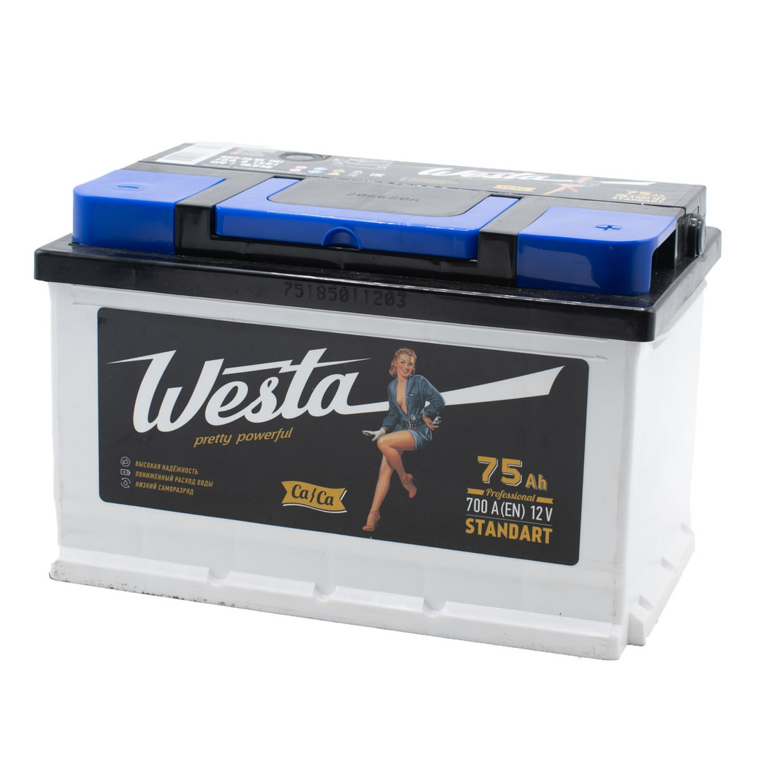 WESTA Black 75ач евро 700А 275х175х175